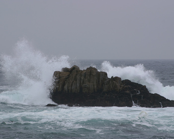 Asilomar State Beach