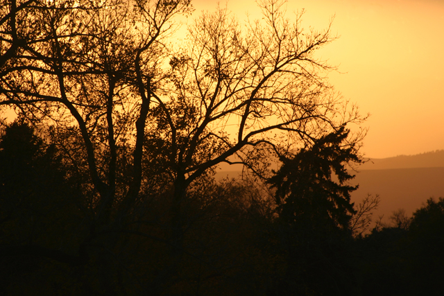 IMG_4422b.jpg