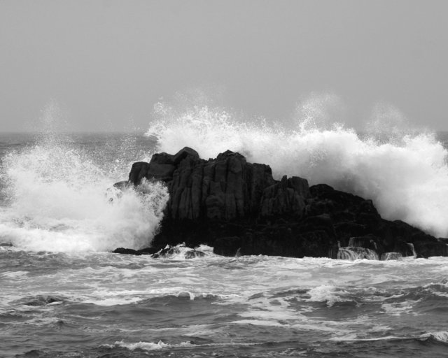Asilomar State Park