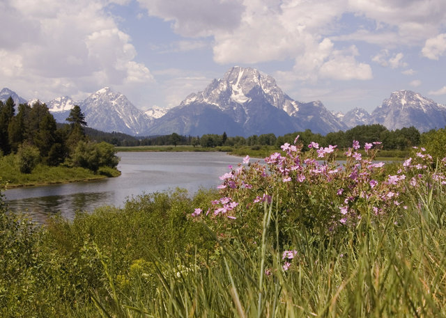 Oxbow Bend