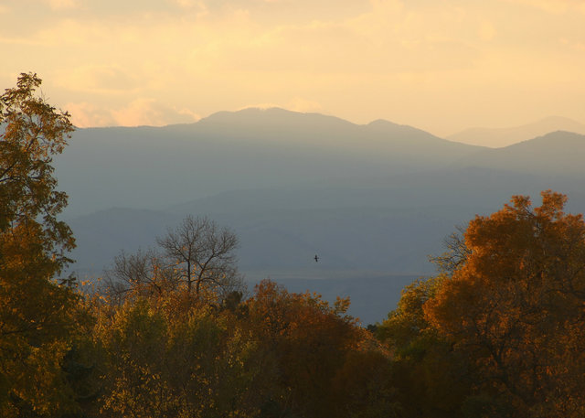 Mountain Sunset