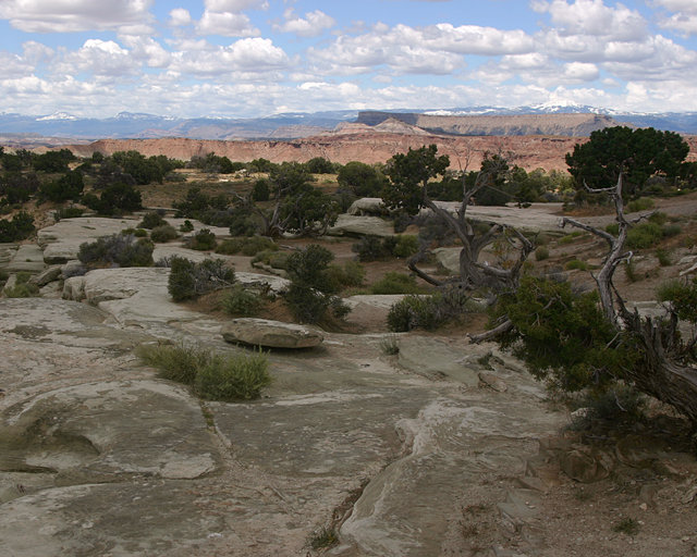 Utah Landscape
