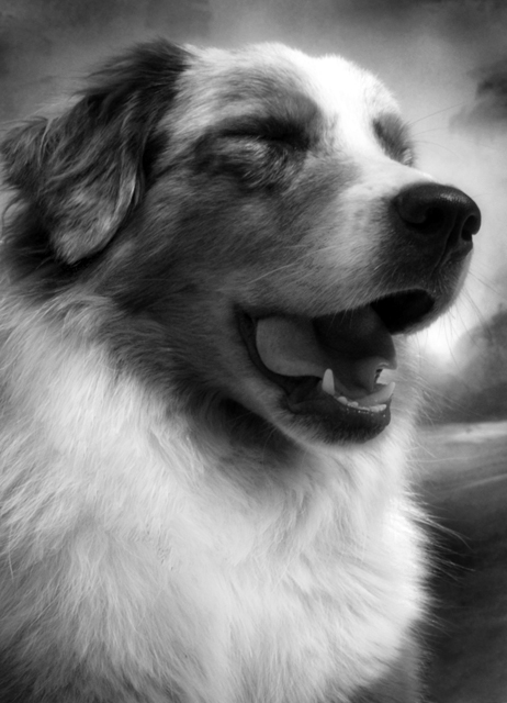  Laughter Frees the Spirit