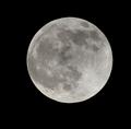 moon shot
