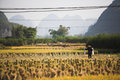 Rural Life, Yangshuo