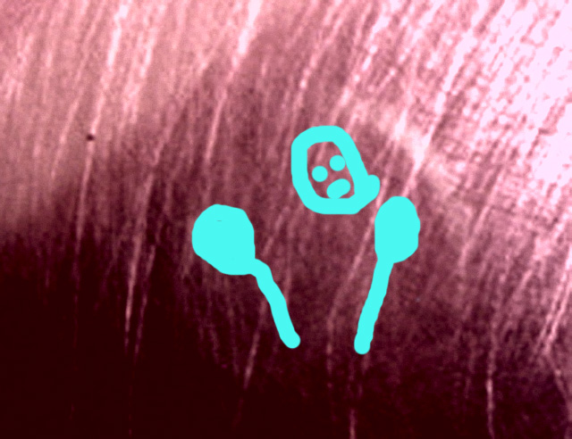 pink-mystery2.jpg