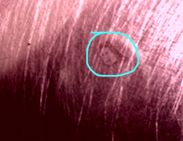 pink-mystery1face.jpg