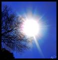 Here comes the sun
