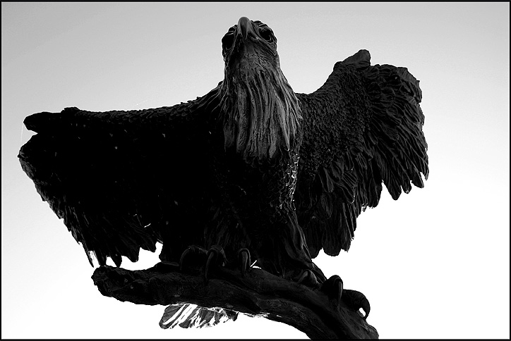 Symbol Of Freedom