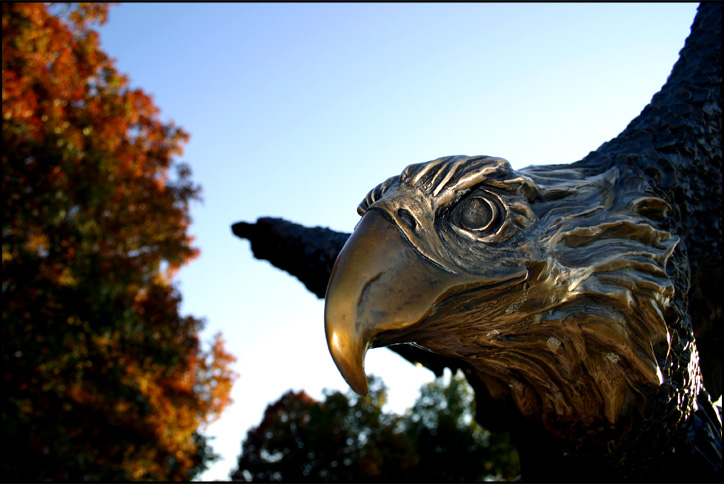 Eye of the eagle.