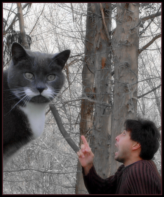 Mmmmm ... human!