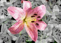Painted Flower