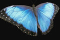 Natures Beauty