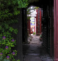 Door Way