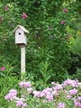 birdhouse