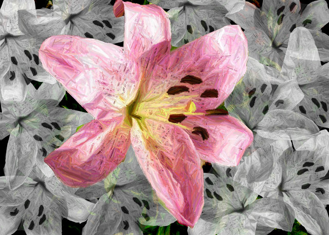 Painted Flower