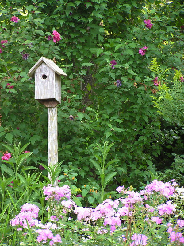 birdhouse