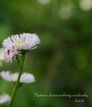 Nature