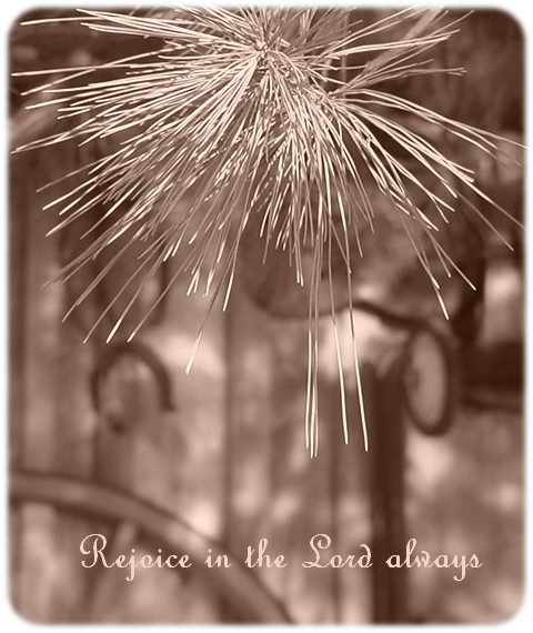Rejoice always.jpg