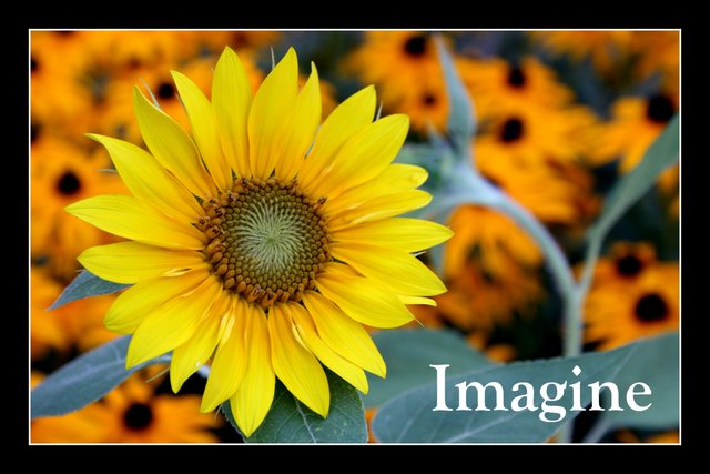 Imagine