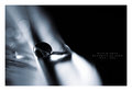 Black Drop