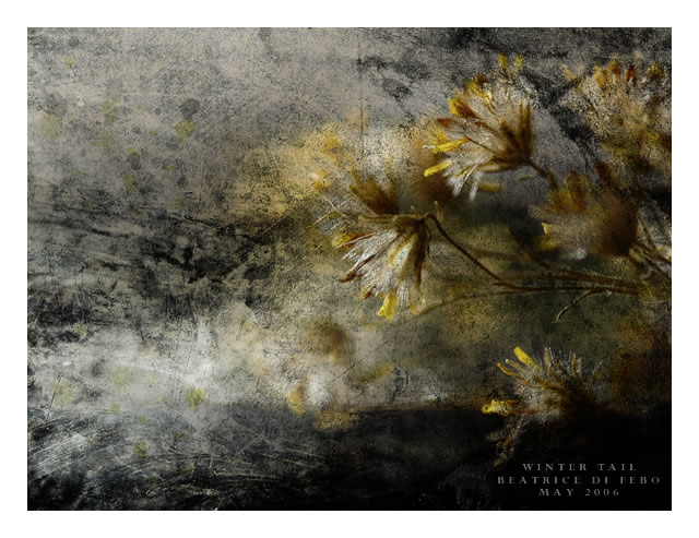 Winter Tale