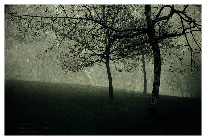 Day2 - Poetry II