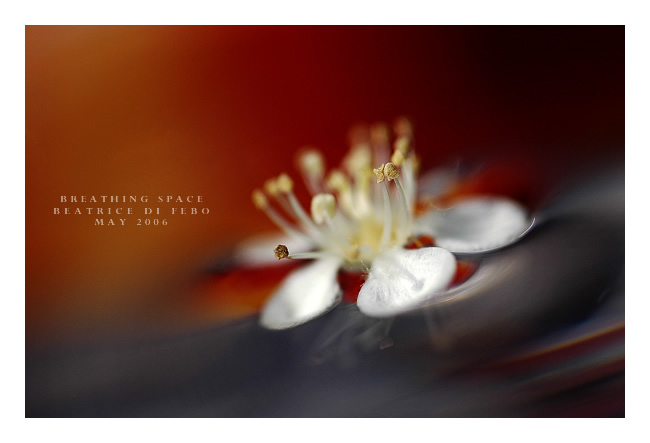 Breathing Space