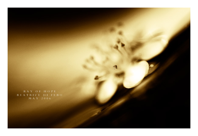 Ray of Hope