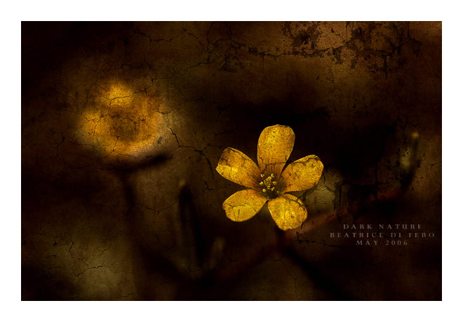 Dark Nature