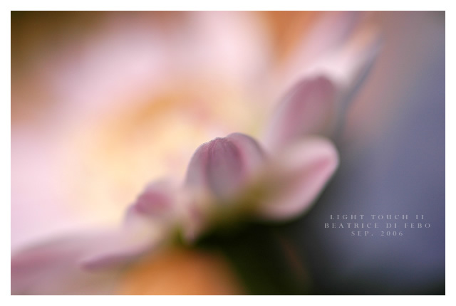 Light Touch II
