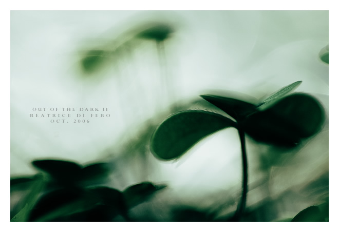 Out Of The Dark II