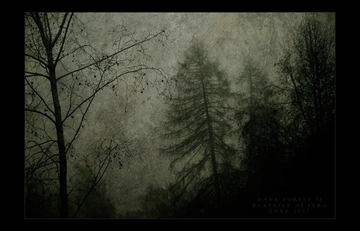 Dark Forest II