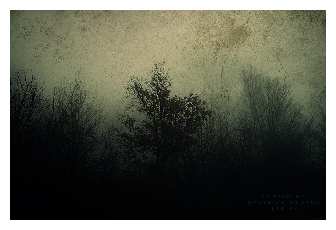 Day 8 - Vanishing