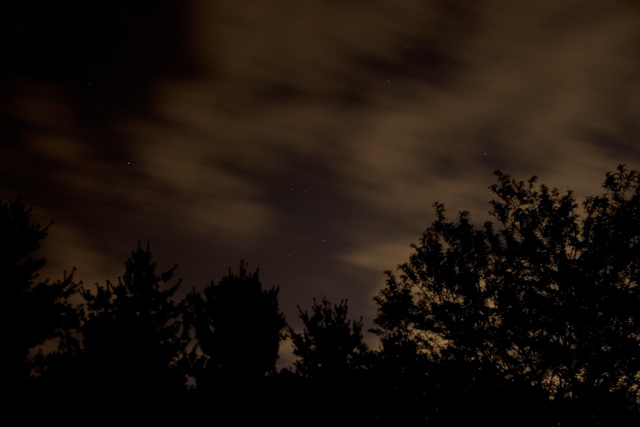 IMG_8519eo.jpg