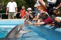 Sea-World-San-Antonio-Texas.jpg