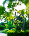 Ault_2639