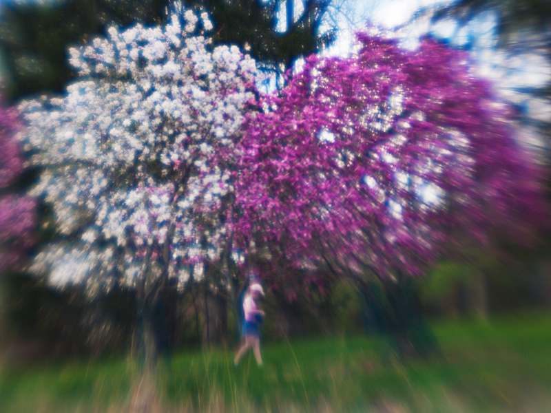 Girl in Arboretum (cropped more)