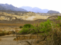 Mohave Dessert
