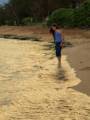 Golden sands