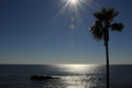 Laguna  _DSC0021