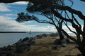 Balboa DSC_0437