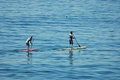 No Surf DSC_1296