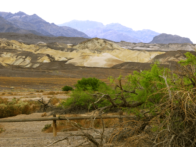 Mohave Dessert