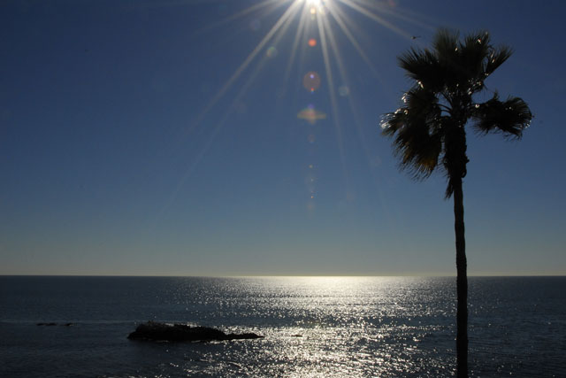 Laguna  _DSC0021
