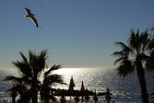 Laguna _DSC0104