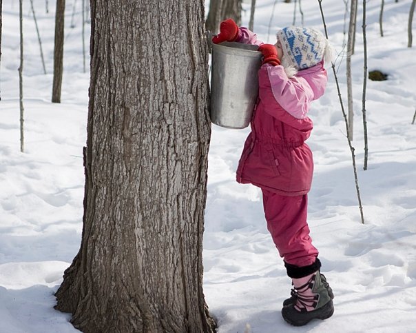 sap checker