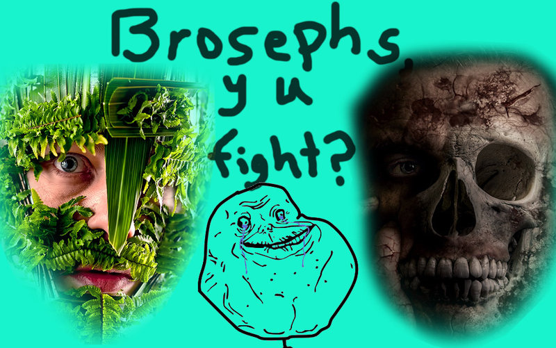 Brosephs y u fight