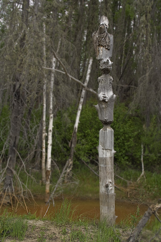 artistic_beaver_0259_small