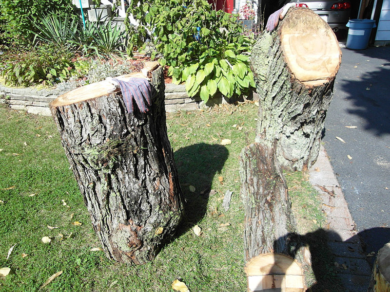 log5